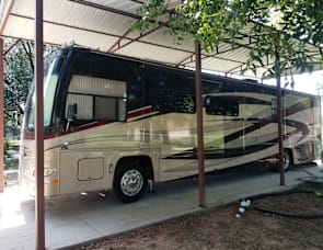 Damon Tuscany 4076