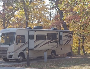 Forest River RV Georgetown 310DS