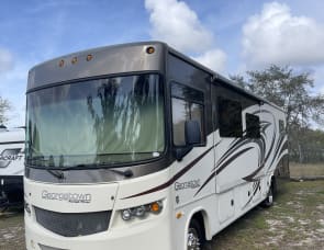 Forest River RV Georgetown 310DS