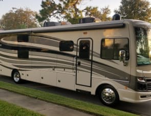 Fleetwood RV Bounder 36H