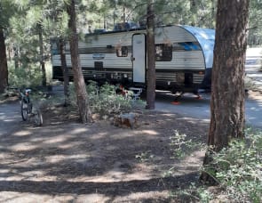 Forest River RV Salem Cruise Lite 282QBXL