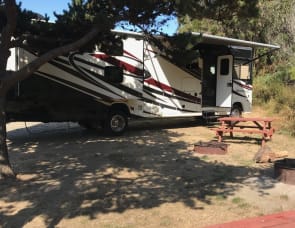 Forest River RV Georgetown 351DS