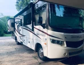 Forest River RV Georgetown 310