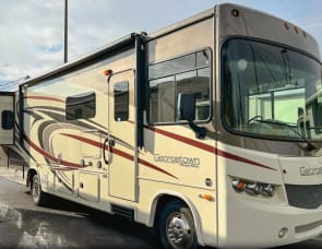 Forest River RV Georgetown 329DS