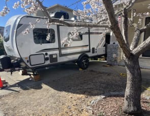 Forest River RV Rockwood GEO Pro G19FBS
