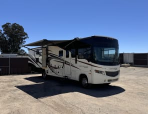 Forest River RV Georgetown 351DS
