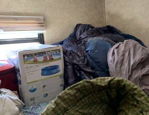 2010 Sabre Palamino