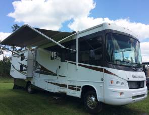 2012 Forest River Georgetown