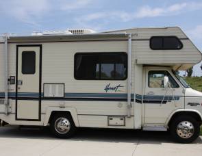 1991 Damon Hornet 20' motor home