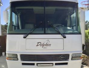 2004 National Dolphin