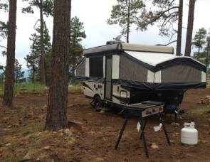 2014 Forest River Palomino 10st