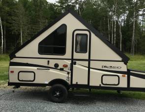 2017 palomino