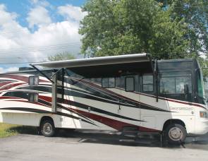 2013 Forest River Georgetown