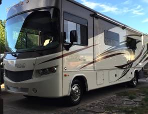 2016 Forest River Georgetown