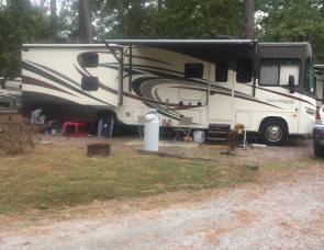 2016 Forest River Georgetown