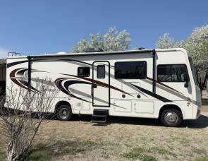 2016 Forest River Georgetown
