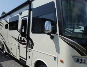 2019 Precept 29V