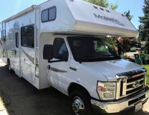 2009 Four Winds Majestic