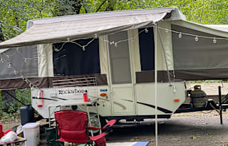 Poppy the Pop-Up!
