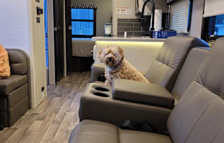 2022 Jayco Alante 29S