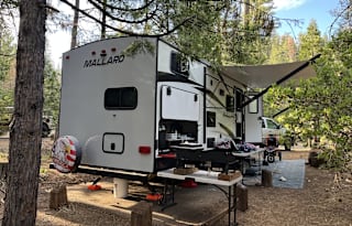 2018 Mallard 245