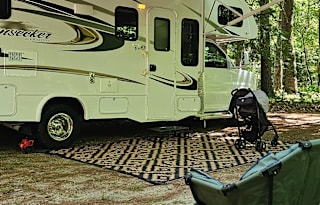 Forest River Sunseeker 2016