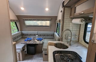 Pet friend 2019 Forest River R-Pod