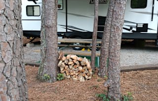 Ain't that Somethin' My Pet Friendly RV Rental
