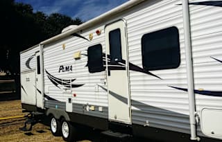 Palomino PUMA