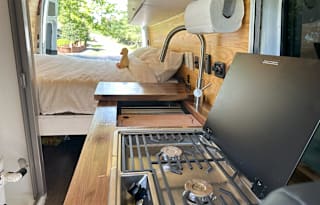 Mermaid - 2021 Mercedes-Benz Sprinter