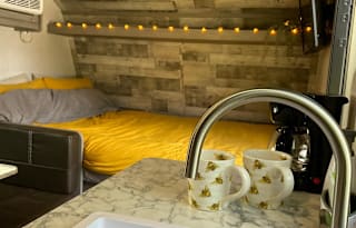 The Honey Bug Camper - 2023 Coleman Trailer