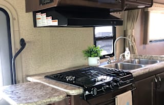2018 Thor Four winds "Dusty"