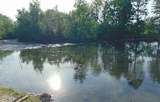 Imagine by Grand Design & Campsite at Riverstone Campground in Townsend, TN