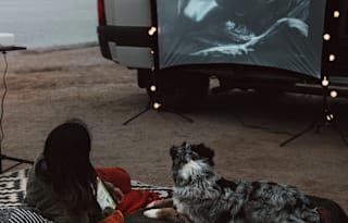 Explore Beyond Boundaries | 4x4 | Pet Friendly