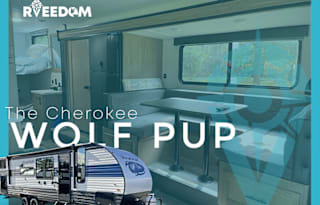The Wolf Pup Experience