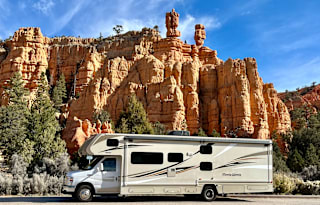 "The Dude" 2017 Winnebago - Minnie Winnie 31G