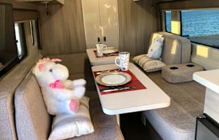 2021 Thor Motor Coach Sequence 20L