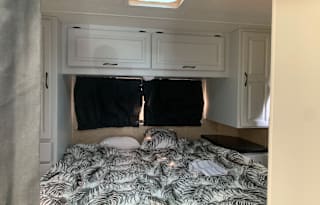 2009 Thor Motor Coach Four Winds Majestic