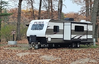 Life is great, go camping!