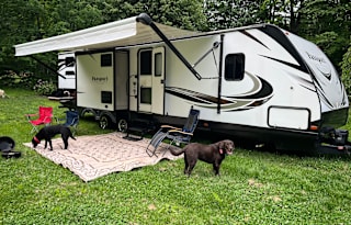 Dave & Tricia's kiddos and fidos friendly camper