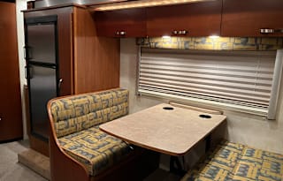 2009 Fleetwood Fleetwood RV Pulse Icon 24D