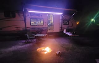 Woody the Wildwood