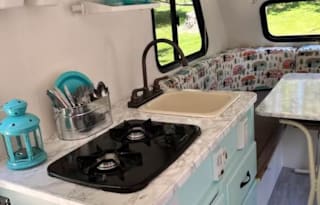 2009 Forest River RV Pod 172