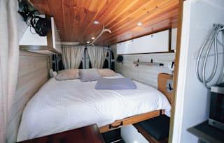 2020 Pet-friendly Promaster 3500 Van