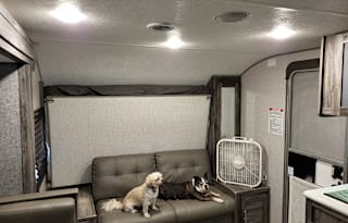 Sophie and Ode Pet Friendly & Kid Approved RV