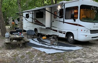 2010 Forest River RV Georgetown 341DS