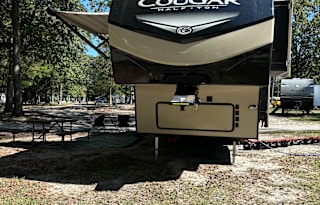 Cougar