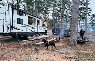 Pretty Girl Camper