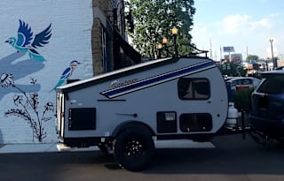 Pet Friendly Pop-Up Camper