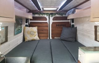 Olive! 2019 Promaster 3500, Off-grid ready!
